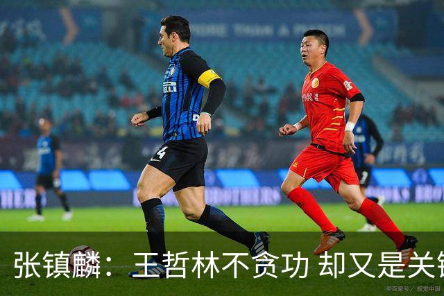 张镇麟：王哲林不贪功 却又是关键时刻能站出来的人 队长当之无愧